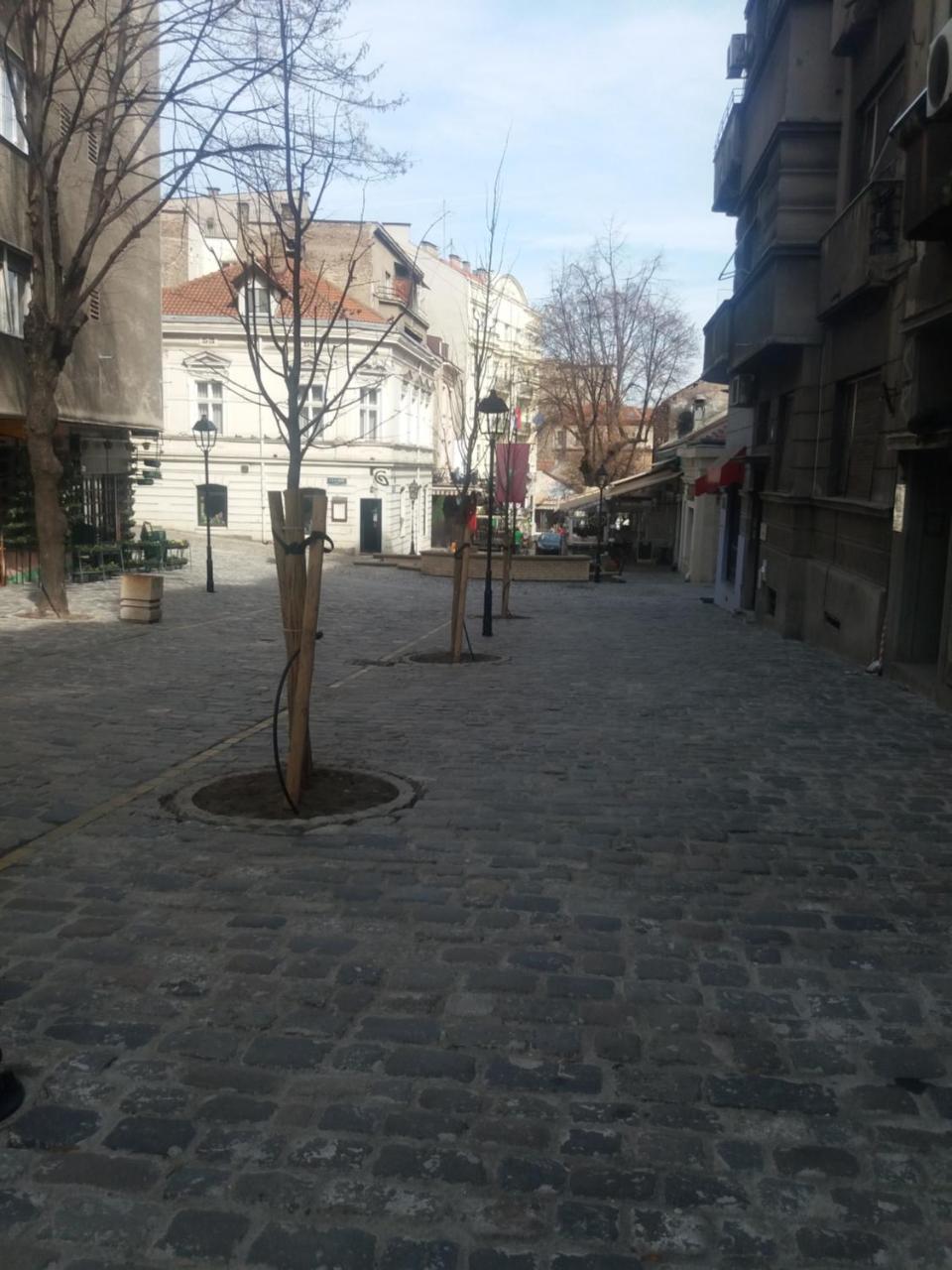 City Center Room Beograd Eksteriør bilde
